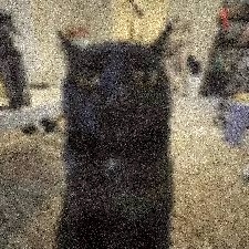 deep fried meme example with extreme JPEG artifacts and noise