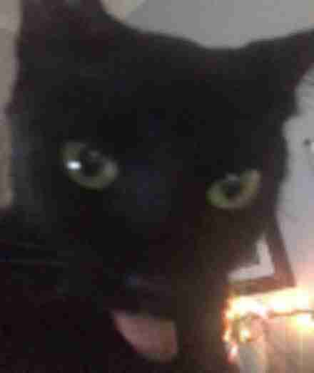 make image low quality example showing degraded social media photo