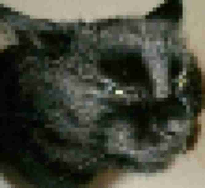 pixelate image for privacy censoring face blur online